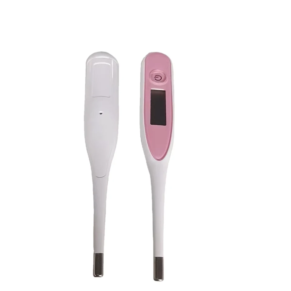 Waterproof Digital Thermometer