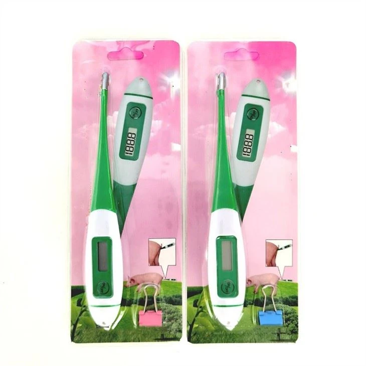 Veterinary Thermometer